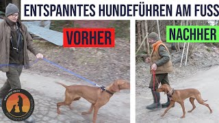 3 Gründe wieso es mit dem „Fuss“ nicht klappt  Hundeschule UB [upl. by Elana]