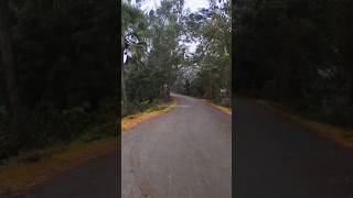 Ya Barish Ke Moasham ringtone trending viralvideo youtubeshorts music love ytshorts [upl. by Mauer416]