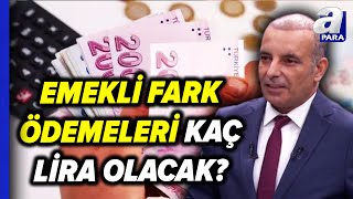 Emekli Fark Ödemesi Ne Kadar Olacak Farklar Ne Hangi Tarihte Yatırılacak Faruk Erdem Açıkladı [upl. by Haswell929]