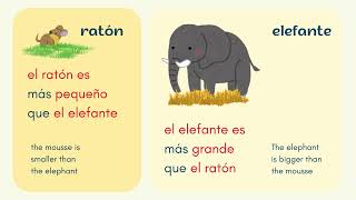 BIG amp SMALL  Comparisons in SPANISH [upl. by Nirroc9]