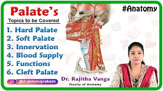 Anatomy of Palate Hard palate Soft palate Innervation Blood supply Functions Cleft palate [upl. by Hollinger]