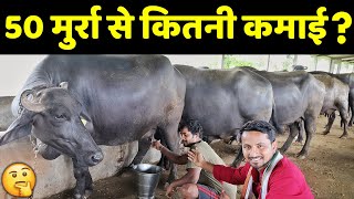 महाराष्ट्र का टॉप क्वालिटी मुर्रा भैंस फार्म  Murrah Price Business Plan amp Profit  Live Milking [upl. by Gar465]