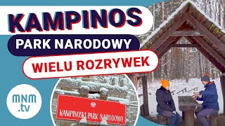 Zimowe wyprawy po Mazowszu  Kampinoski Park Narodowy i Julinek Park [upl. by Ralleigh151]