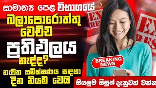 ol reccorection application sinhala  ol results release sinhala  ol exam 20232024  ol results [upl. by Calen]