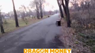 DragonMoneyOFF Dragon money лаве в кармане [upl. by Rance]