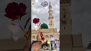 Wo Mera Nabi heshortsytshorts eidmiladunnabi muhammad allah [upl. by Levison]