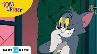 Tom amp Jerry  Onde planter  Cartoonito  Tegnefilm for børn [upl. by Esch]