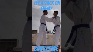 Eye attack on Enemy on Street 🤯 brotherkarate karatetechniques ytshorts viralvideo [upl. by Onabru]