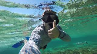 Rottnest Island  Snorkeling with Sharks and others  GoPro7 [upl. by Adidnere]