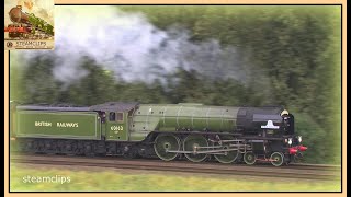 60163 Tornado Struggles to Deliver the Last Torbay Express 10Sep17 [upl. by Dulcle412]