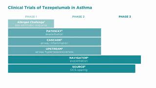 Targeting TSLP in Severe Asthma  Video abstract ID 275039 [upl. by Eelame422]