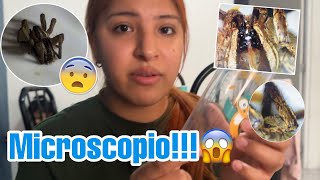 Compramos un MICROSCOPIO😖😱 [upl. by Vudimir]