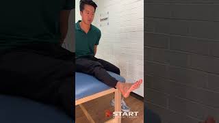 Fibularis longus ankle movement [upl. by Novah157]