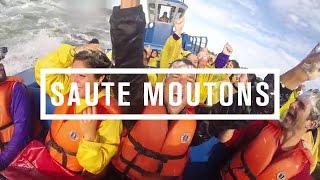 Saute Moutons  JET BOATING Montreal [upl. by Husein]