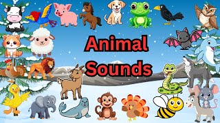 Kids Animal Sounds Song  Woof Meow Quack amp Morequot  Fun SingAlong Song for Kidsquot [upl. by Notnarb]