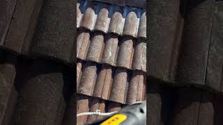 SACRAMENTO ROOF CLEANING SOFTWASH EASY PEEZY [upl. by Ahsinod]