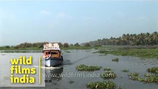 Houseboat on Kerala backwaters India [upl. by Fredra740]