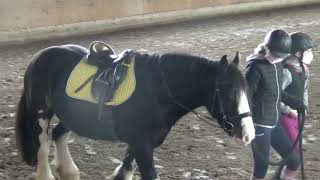 REITEN als Wahlfach an der LLR Osterhofen Ja natürlich [upl. by Edme]