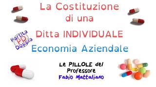 Le scritture in Partita Doppia PD relative alla costituzione di una Ditta Individuale [upl. by Adest160]