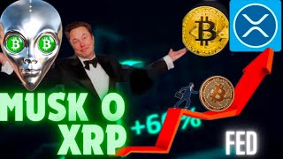 Co powiedział Musk o XRP Decyzja FED a kurs BTC  NOSTR nowa platforma dla krypto  BTC  XRP News [upl. by Rebeca38]