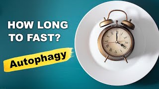 Fasting for Autophagy How Long is Enough [upl. by Accem]