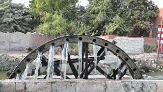 Water wheels in Al Faiyum  Al Fayyum Hadeer water wheel [upl. by Stanford969]