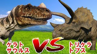 【恐竜バトル】ケラトサウルス vs トリケラトプス  CERATOSAURUS vs TRICERATOPS jurassic world evolution [upl. by Eelydnarb]