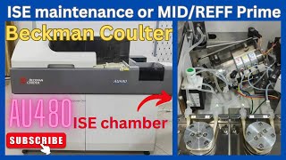 ISE maintenance  MIDREFF Prime  AU480  Electrode  medicallabtechnologysajal6903 [upl. by Paymar157]