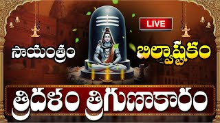 LIVE సోమవారం సాయంత్రం బిల్వాష్టకం వింటే కోటీశ్వరులవుతారు  Bilvashtakam  Lord Shiva Songs [upl. by Alliuqet825]