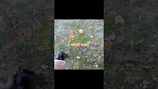 CCI Shotshell 22 LR vs potato 🥔… [upl. by Thia]