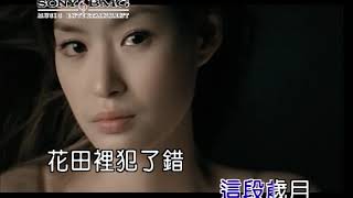 王力宏 花田錯 Official Video Karaoke [upl. by Bruckner]