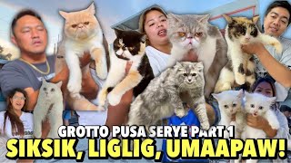 SUNDAY IS PUSA DAY SA GROTTO  GROTTO PUSA SERYE PART 1  NOVEMBER 17 2024 [upl. by Whiney]