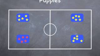 PE Games  Puppies [upl. by Eisteb356]