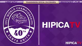 Hípica TV Livestream  Sabado 4 de Noviembre 2023 [upl. by Nnasor]