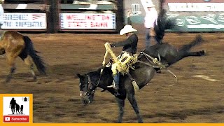 Saddle Bronc Riding Reride  2023 Wellington Pro Rodeo  Friday [upl. by Annahgiel]