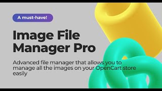 Image File Manager Pro Demo [upl. by Cerys594]