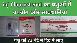 Inj Cloperostenol uses in hindi in veterinary [upl. by Johannessen295]