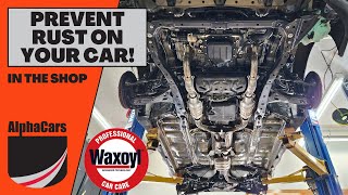 Add Value to Your Car With a Waxoyl Undercoating  Subaru Outback [upl. by Jaquelyn92]