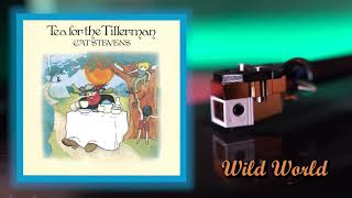 Cat Stevens  Wild World Vinyl RIP [upl. by Elitnahc]