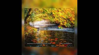 2025 Magical Irish Countryside Wall Calendar  James A Truett [upl. by Nyleaj]