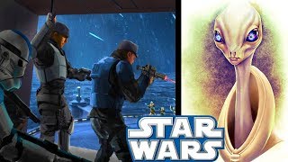 What Happened To KAMINO After Order 66  Clone Wars Explained [upl. by Emilia271]