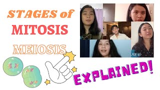 DETAILED EXPLANATION OF STAGES OF MEIOSIS [upl. by Whitford]