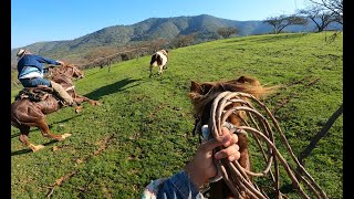 Laceadores de cerro 18 [upl. by Helge]