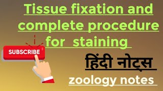 Tissue fixation and complete procedure for staining MSc zoology 2nd semester Hindi notes [upl. by Sikata459]