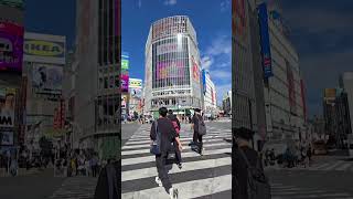 Hachiko statue by day Shibuya crossing streets oct 2024 Tokyo Japan [upl. by Enitnelav]