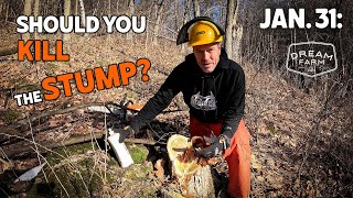 Jan 31 Should You Kill the Stump  Mineral Stumps  Dream Farm w Bill Winke [upl. by Dominica]