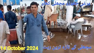 karachi fishri Machli ke taza tareen rate  14 october 2024 [upl. by Sheba463]