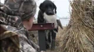 CICC Outdoor Adventures Waterfowl  Pheasant Hunting [upl. by Hashim]