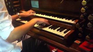 Nuvole Bianche  ORGAN VERSION by TheAdamPiano HD [upl. by Winnick]