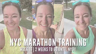 WEEK 16  NYC MARATHON TRAINING  2 WEEKS TO GO UNTIL NYC [upl. by Blau]